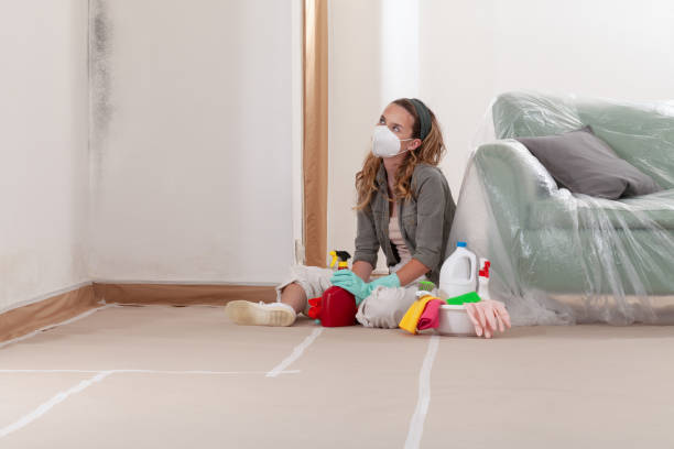 Reliable Hvac And Air Duct Mold Remediation contractor in Bloomington, IL by 24 Hour Mold Removal